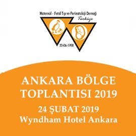 Ankara Bölge Toplantısı 2019