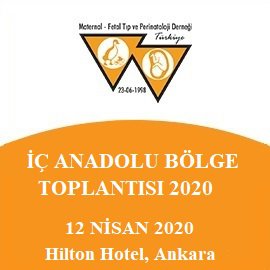 İç Anadolu Bölge Toplantısı - 2020