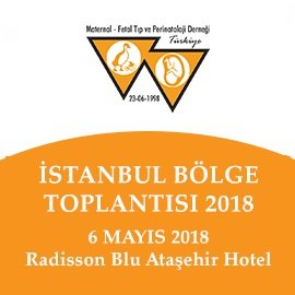 İstanbul Bölge Toplantısı 2018
