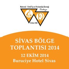 Sivas Bölge Toplantısı 2014