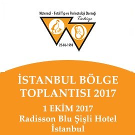 İstanbul Bölge Toplantısı - 2017