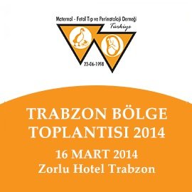 Trabzon Bölge Toplantısı 2014