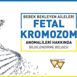 Video Başlık