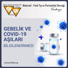 Video Başlık