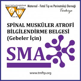 Video Başlık