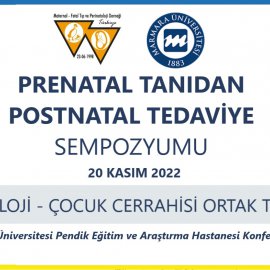 Video Başlık