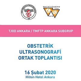 Video Başlık