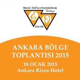Ankara Bölge Toplantısı 2015