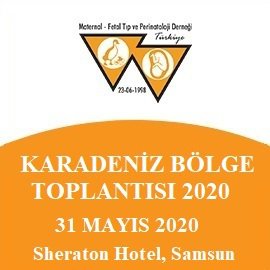 Karadeniz Bölge Toplantısı - 2020